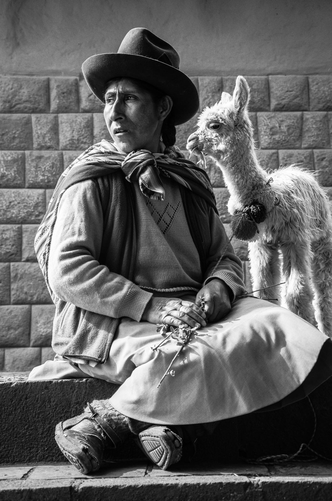 Foto Machu Picchu - Fotografando uma das sete maravilhas do mundo Foto Machu Picchu - Fotografando uma das sete maravilhas do mundo - Imagem 9
